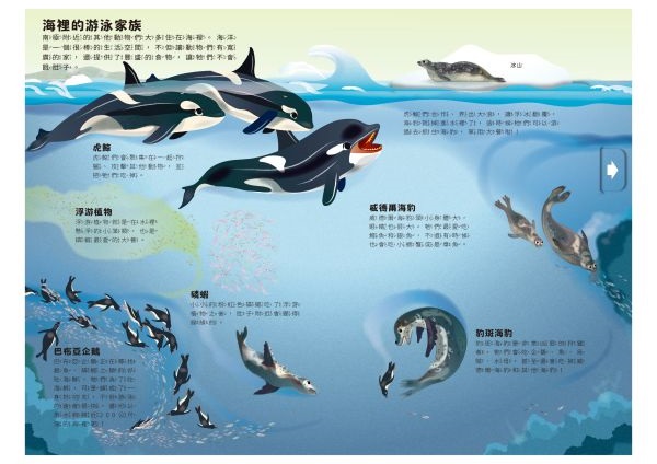 小小知識家動手大發現-冰雪動物AMAZING！